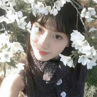 银狐传说